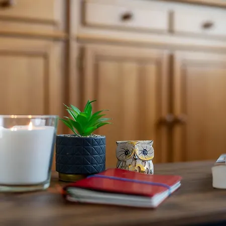 Malo-les-bains Lumineux Et Traversants Face A La * Dunkirk